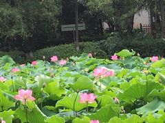 -月牙潭公园