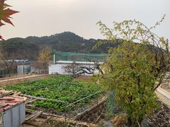 -丽泽山庄·生态怀柔菜·虹鳟鱼(红螺寺店)
