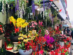 -溪岸路花鸟市场