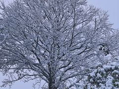 -武汉紫薇都市田园