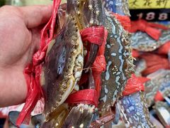 -明记海鲜大排档(巽寮湾店)