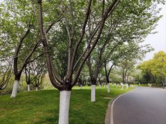 -东湖落雁景区