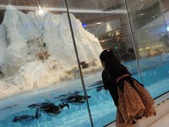 -帝企鹅自助餐厅•儿童岛•真企鹅(长隆企鹅酒店)