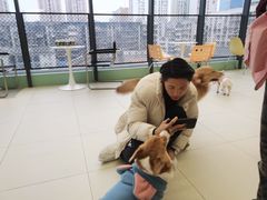 -怪兽屋·羊驼·猫咖·狗咖(俊华广场店)