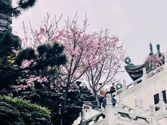 -宝墨园景区