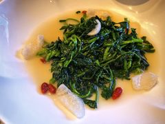 素炒豌豆尖-拾久(朝阳公园店)