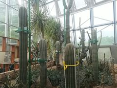 -北京植物园-展览温室