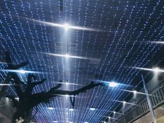 -清真·老金烧烤·小龙虾(奥体中路店)