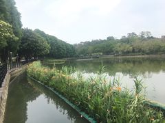 -广州雕塑公园