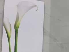 -福奈特洗衣洗鞋(宝华广场店)