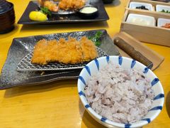 -胜博殿日式炸猪排(西红门店)