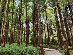 -罗田薄刀峰风景区