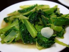 清炒凤尾-荣生萝卜汤饭店