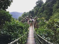 -天门沟九州驿站树上汤泉