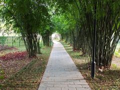 -堤角公园