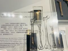 -北京周口店北京人遗址博物馆