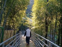 -藏龙百瀑风景区