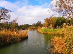 -梁鸿国家湿地公园