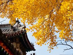-承恩寺