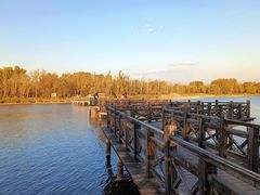 -野鸭湖国家湿地公园