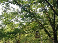 -范蠡湖公园