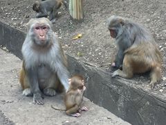 -黔灵山公园-南门售票处