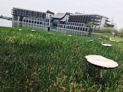 门面-水月周庄铂尔曼酒店 · 漾全日餐厅