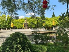 -大槐树寻根祭祖园