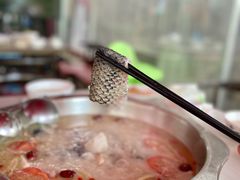 -重庆何乌鱼(南湖逸家店)