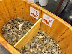 -初色海鲜自助(万丰路店)