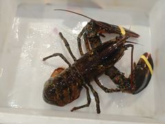 -良师门滨海人家·海鲜·家常菜(滨海城店)