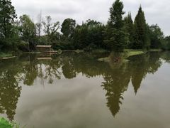 -桤木河湿地公园