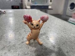 -四月宠物医院·猫专科·心脏专科·内科(转塘店)