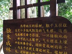 -海南热带雨林国家公园吊罗山景区