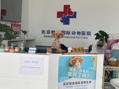 -欧奕国际动物医院