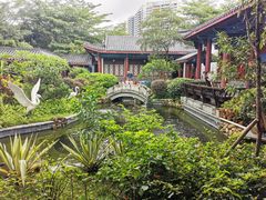 -大亚湾红树林城市湿地公园