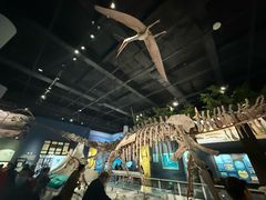 -国家自然博物馆