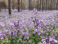 -瀛海足球主题公园