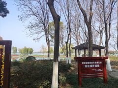 -金银湖国家城市湿地公园