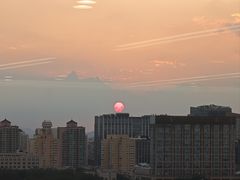 -皮特动物医院(24小时店)