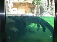 -悉尼海洋生物水族馆