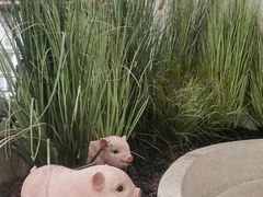 -春家·非遗手工小吃(徐汇万科广场店)