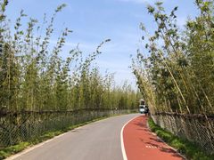 -上海长兴岛郊野公园