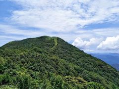 -梧桐山风景名胜区