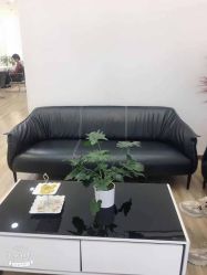 -YESIDO椰岛造型