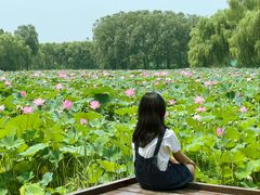 -东郊湿地公园
