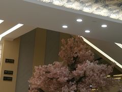 -汤里来温泉