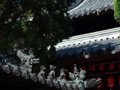 -秋霞圃
