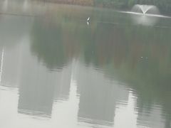 -重庆彩云湖湿地公园