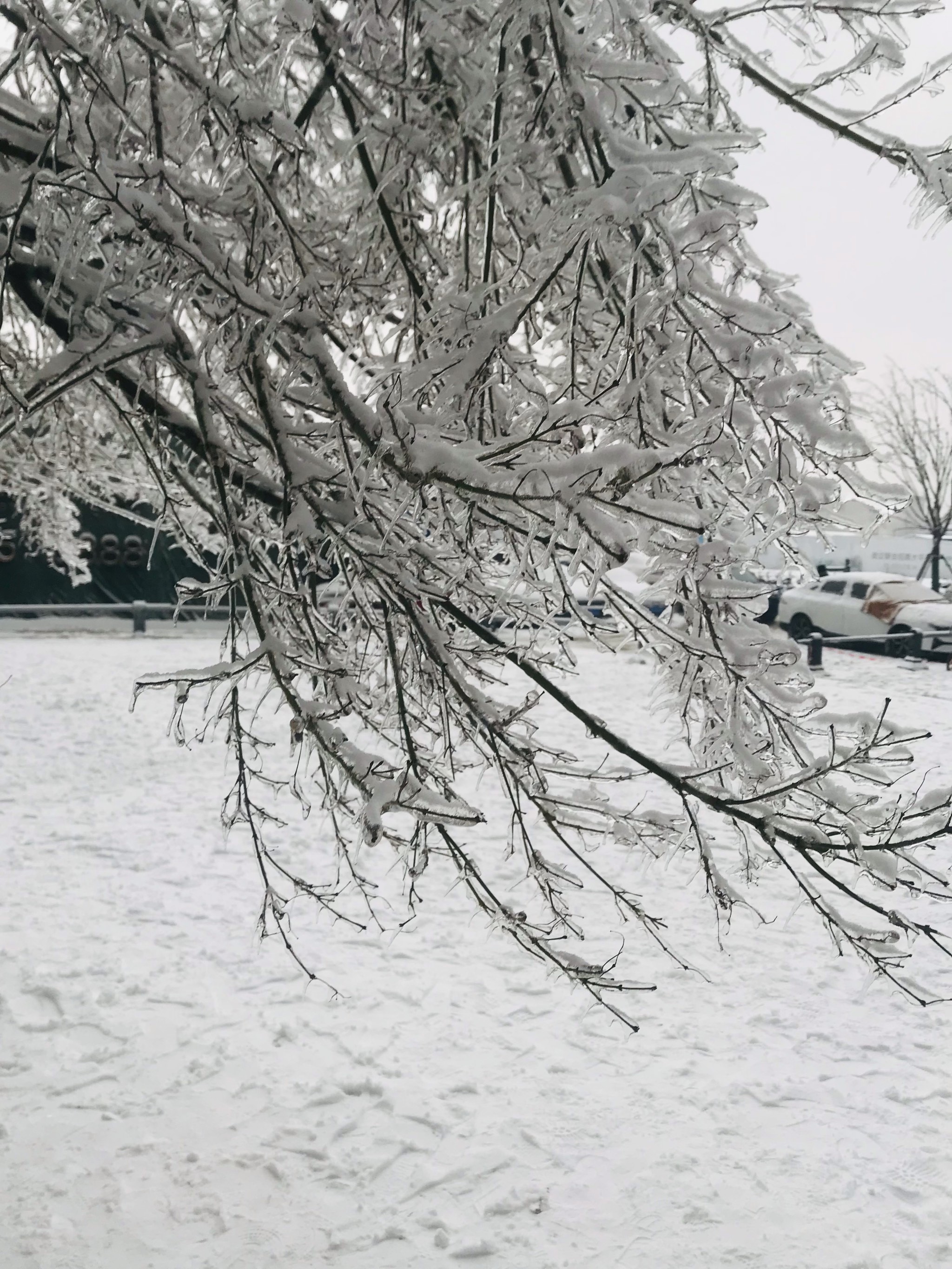 冰雪路上的美景